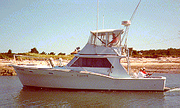 The BLUEFISH