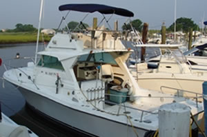 Sportfisherman Bluefish