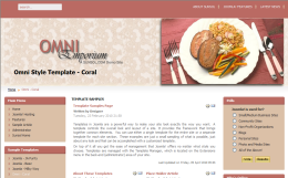 Design Option