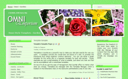 Design Option
